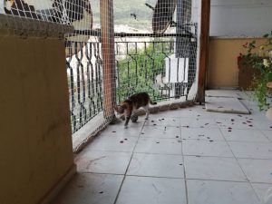 balkon teras kedi koruma filesi sehzadeler manisa 2