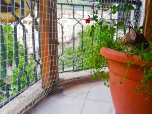 balkon teras kedi koruma filesi sehzadeler manisa 6