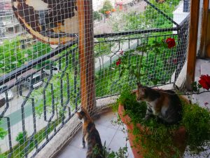 balkon teras kedi koruma filesi sehzadeler manisa 7