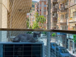 manisa sehzadeler 3 mm 4x4 kedi filesi 2