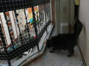 kedi koruma filesi 2 mm 4x4 manisa hulya hanim 2