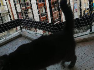 kedi koruma filesi 2 mm 4x4 manisa hulya hanim 3