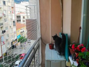 kedi koruma filesi 2 mm 4x4 manisa hulya hanim